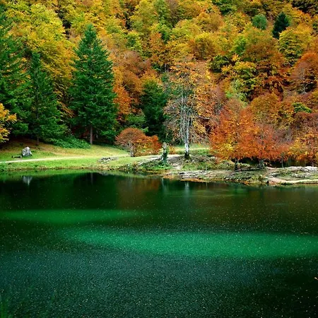 L'echappee Belle 3* Lacourt