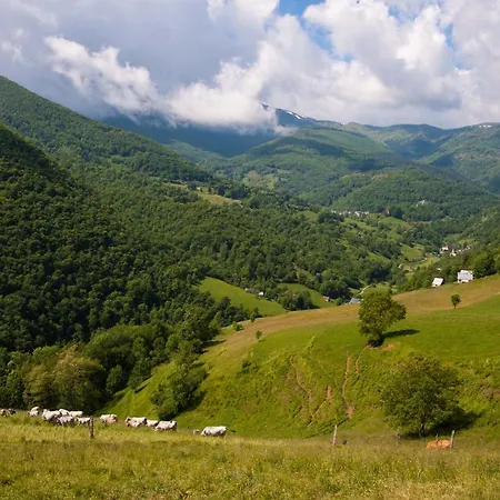L'echappee Belle Lacourt