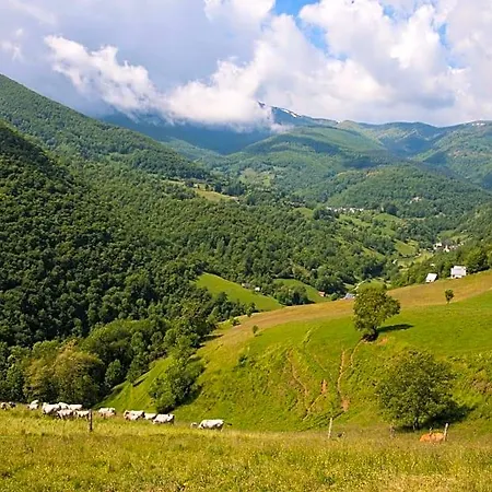 L'échappée Belle Lacourt