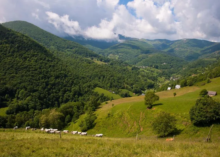 L'echappee Belle Lacourt